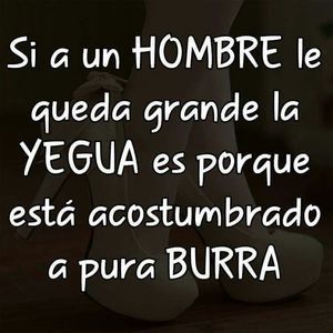 Meet your Posher, Hector